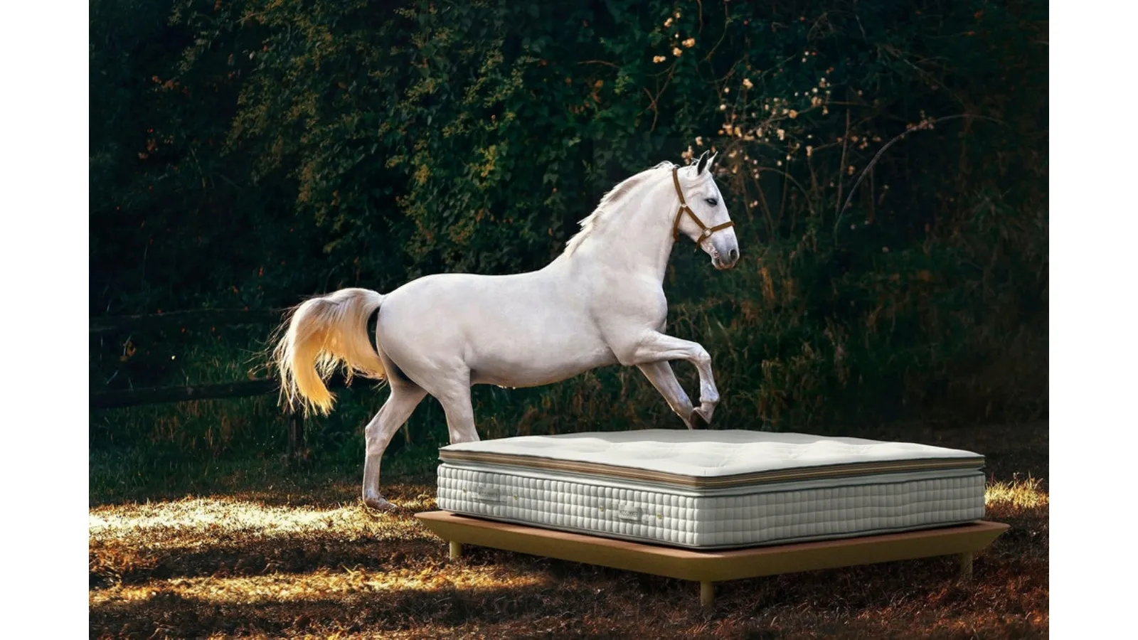 Sommier Bellini Bed by Midsummer Milano